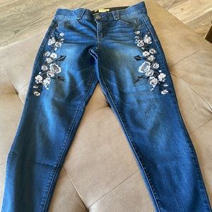 Democracy “Ab” Solution